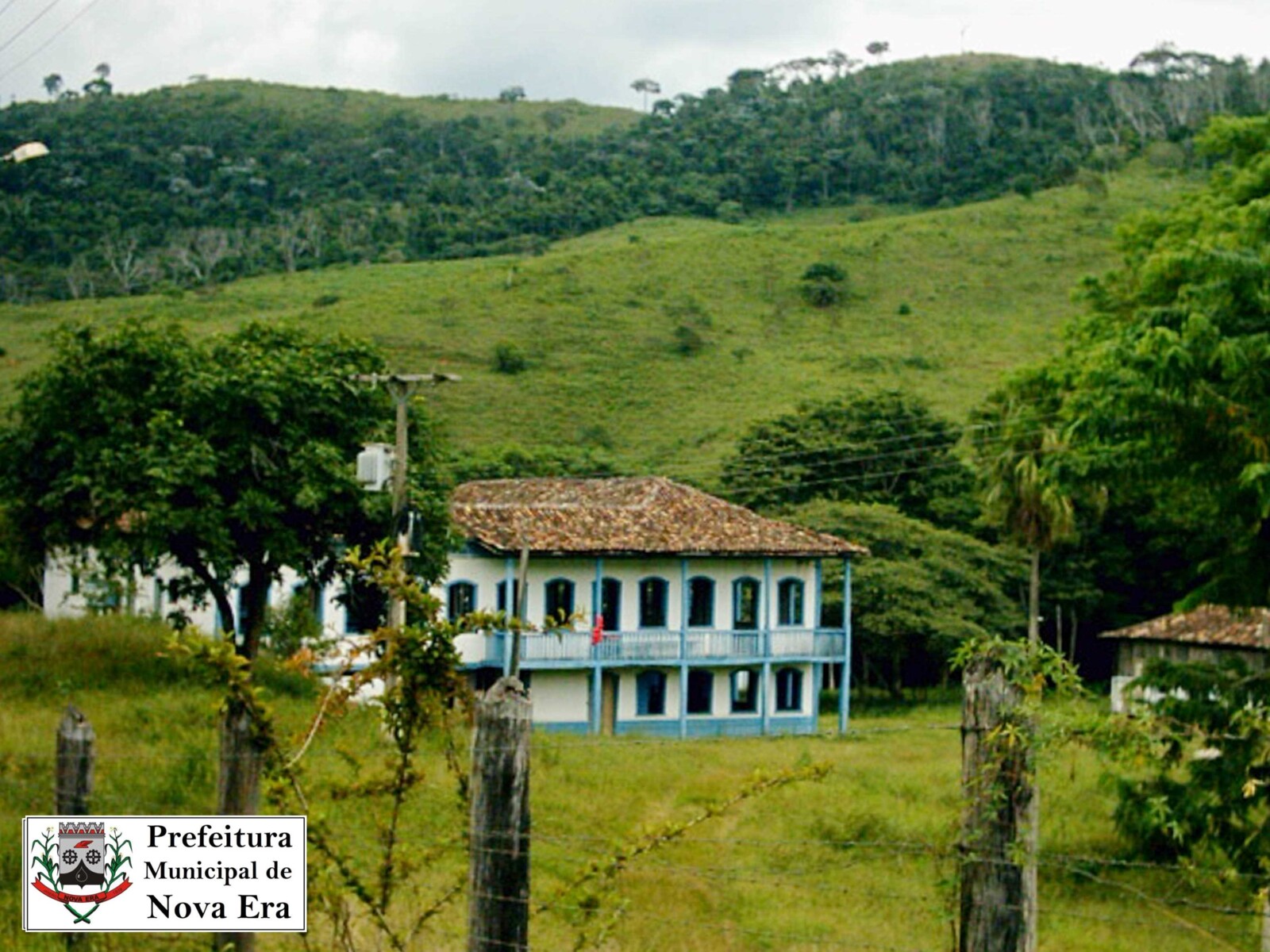 77.jpg