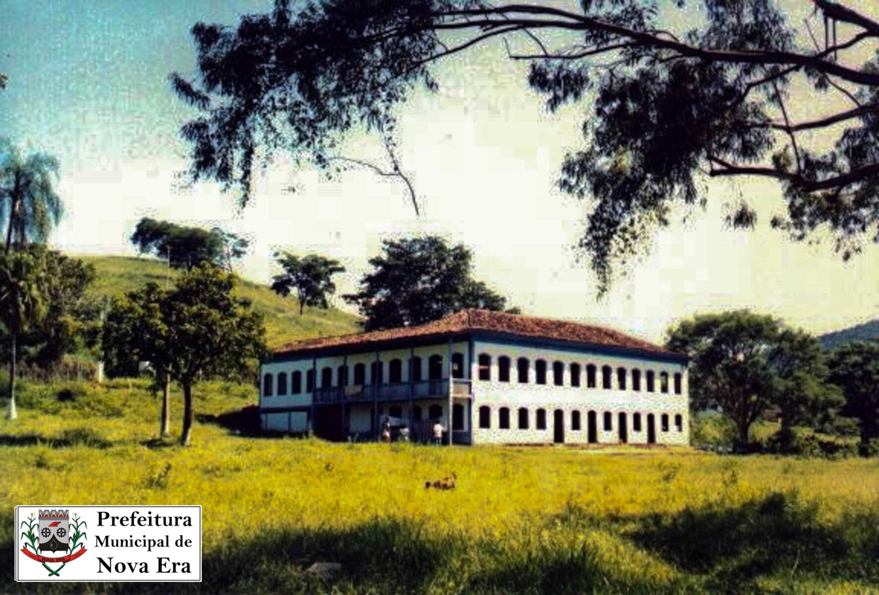 79.jpg